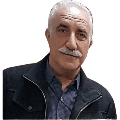رضا محمودی